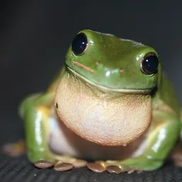 FPEPE logo